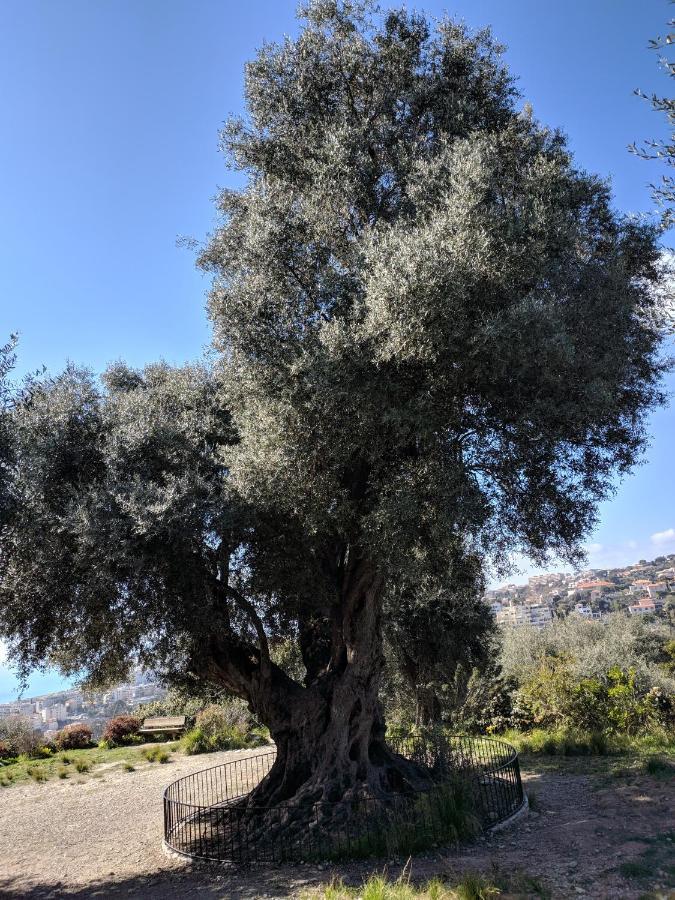דירות ניס Palais Ophelia מראה חיצוני תמונה